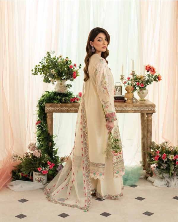 aneela rizwan dress