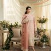 aneela rizwan dress