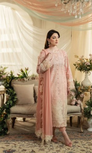 aneela rizwan dress