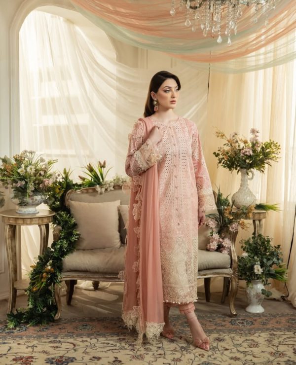 aneela rizwan dress