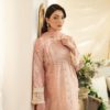 aneela rizwan dress