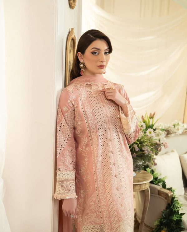 aneela rizwan dress