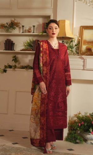 aneela rizwan dress