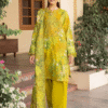 Mishaal dress